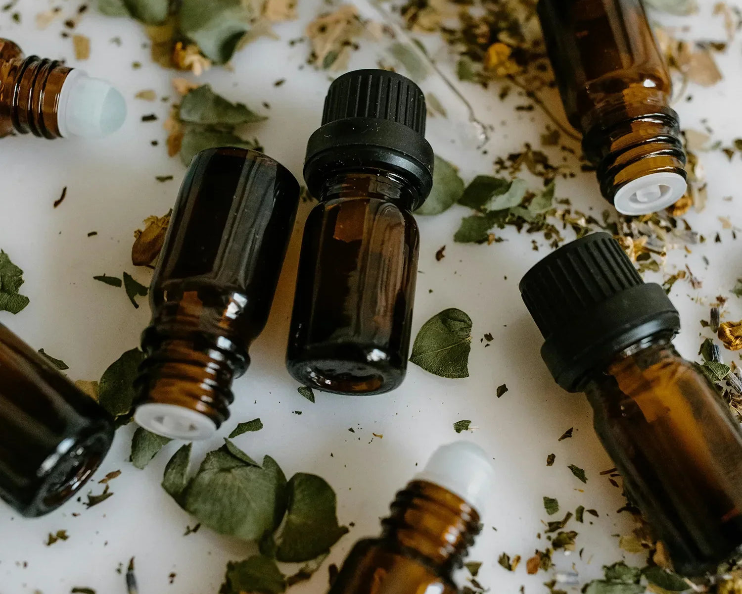Extractos botánicos antioxidantes: beneficios reales para tu piel
