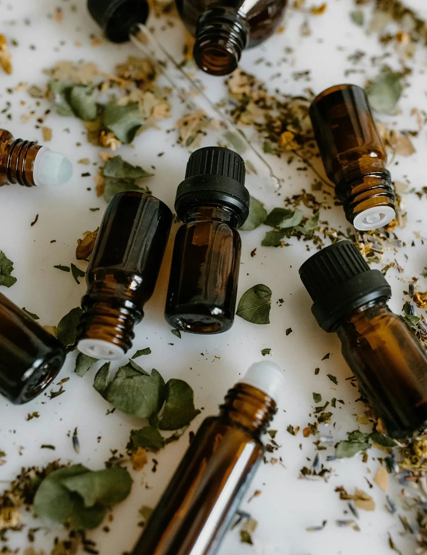 Extractos botánicos antioxidantes: beneficios reales para tu piel