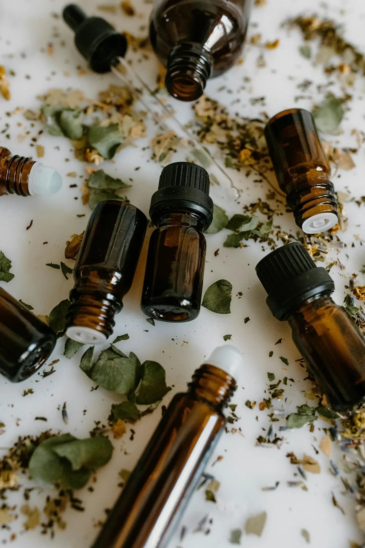 Extractos botánicos antioxidantes: beneficios reales para tu piel
