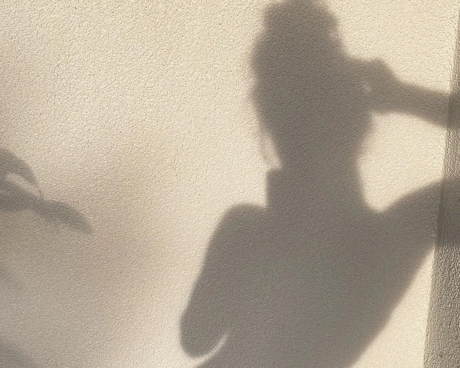 Principios activos para piel sensible: Ingredientes suaves y efectivos para un cuidado adecuado