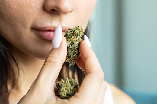 CBD vs THC: Diferencias clave entre los cannabinoides del cannabis