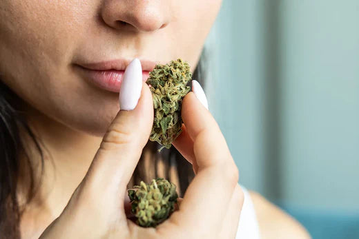 CBD vs THC: Diferencias clave entre los cannabinoides del cannabis