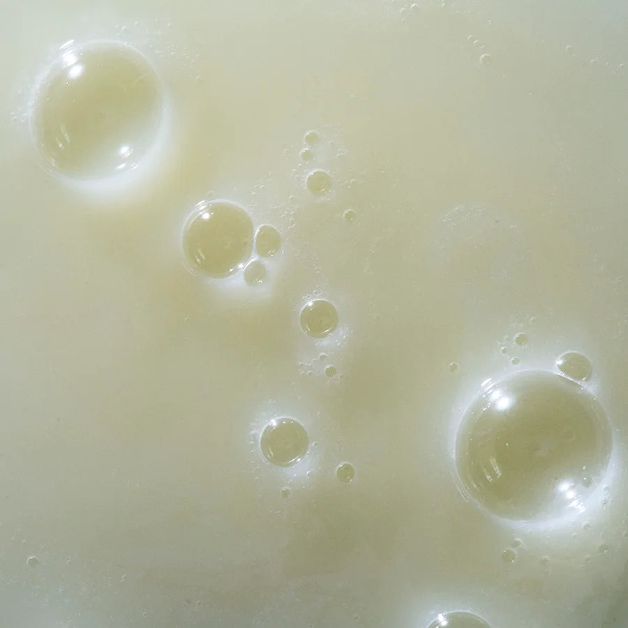 Champú Ecológico y Natural Anticaspa (con CBD)