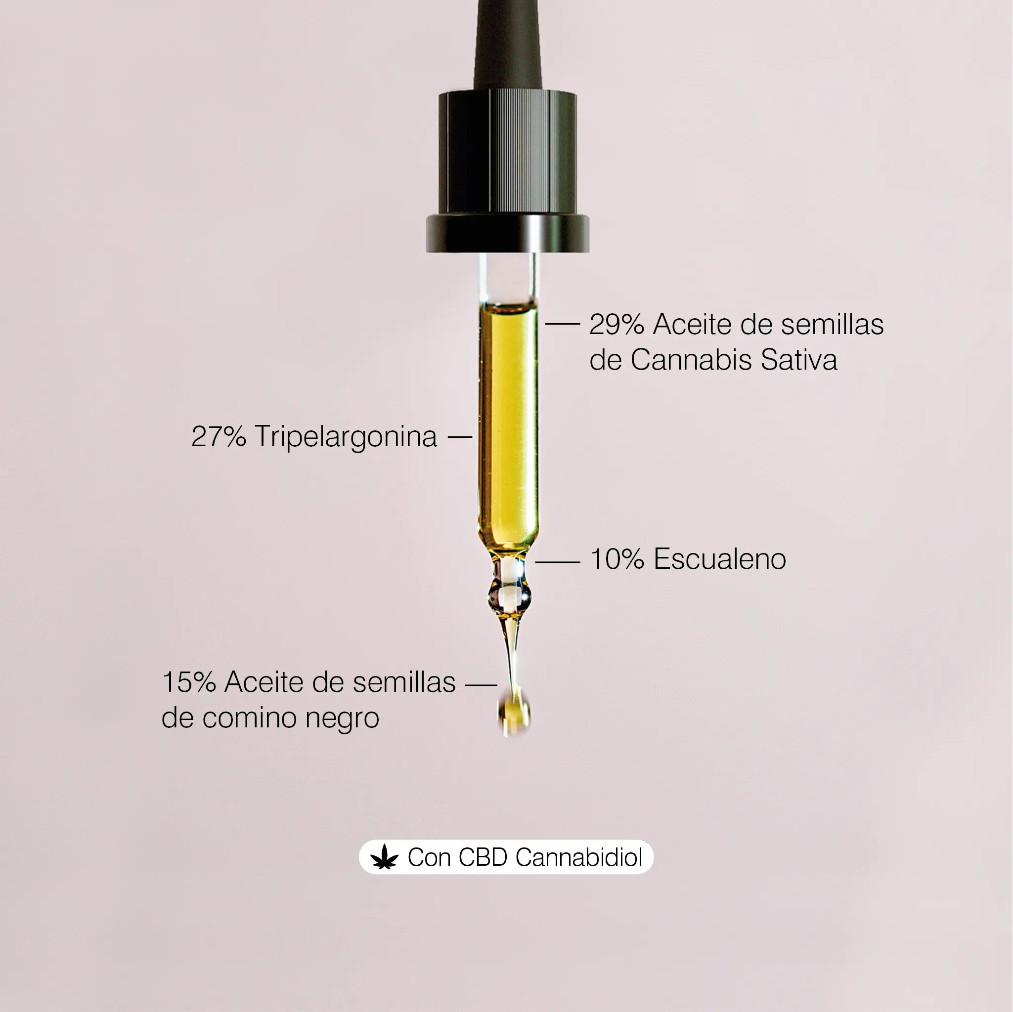 Infografía de los ingredientes activos del sérum facial con CBD, vitamina E y componentes hidratantes